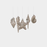 Glass Seashells - Set of 5 Assorted Styles - Antique Silver