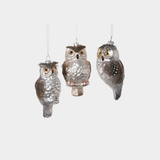 Silver Glass Owl Ornament - 3 Assorted Pieces
