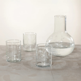 Shiraz Tumblers (Set of 6) - Etched Flower Design