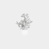 White Resin Coral Sculpture on Acrylic Base
