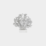 White Resin Coral Sculpture on Acrylic Base
