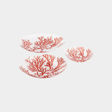 The Coral Sands Plate (Set of 4) Medium