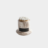 Marbella Light My Fire Matches – Crema Fossil Marble