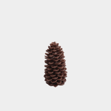Pine Cone Candle - Medium