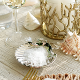Coral Sea Brass Vase / Hurricane with Glass Insert - Gold