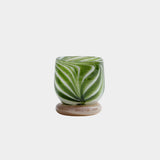 Venezia Colored Tealight Holder - Garden Green