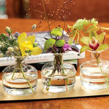 Unique Glass Vases (Set of 3)