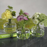 Unique Glass Vases (Set of 3)