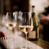 SWRL Universal Glass (Set of 4)