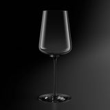 SWRL Universal Glass (Set of 4)