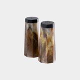 Langham Resin Salt & Pepper Shaker Set