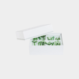 Botanica Glass Flower Napkin Rings (Set of 4 ) in Green
