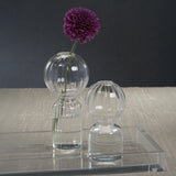 Ritz Single Stem Glass Vase - Clear - Large
