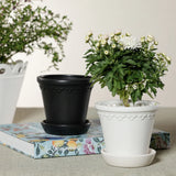 San Ysidro White Ceramic Flower Pot with Saucer