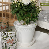 San Ysidro White Ceramic Flower Pot with Saucer
