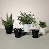 Petal Rim Black Ceramic Flower Pot, Large
