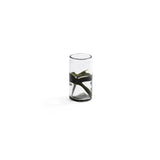 Botánico Glass Vase - 6 in