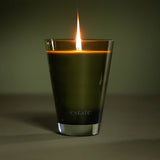 Estate Candle - 10.5 oz, Palm