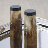 Langham Resin Salt & Pepper Shaker Set