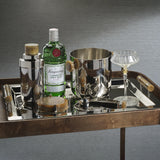 Spiga Stainless Steel Serving Bar Tray