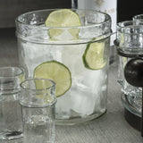 Agave 10-Piece Tequila Shot Set with Ice Bucket